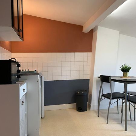 Appartement Charmant Face Au Haras 생로 외부 사진